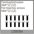 Absima Flachkopfschrauben mit Feingewinde HM4x12/12 Stück für Assassin/Stoke/Torch 4S/6S 1330354