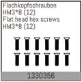 Absima HM3x8mm Flachkopfschrauben 12 Stück für Assassin/Stoke/Torch 4S/6S 1330356