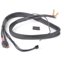 Absima Ladekabel XT60 - 4/5mm Goldstecker / XH Adapter 600mm 3040058