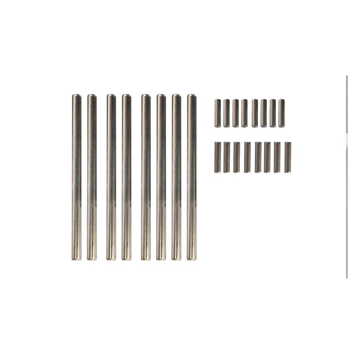 Amewi Pin Set für Daphoenodon / Teleoceras 014-M06001