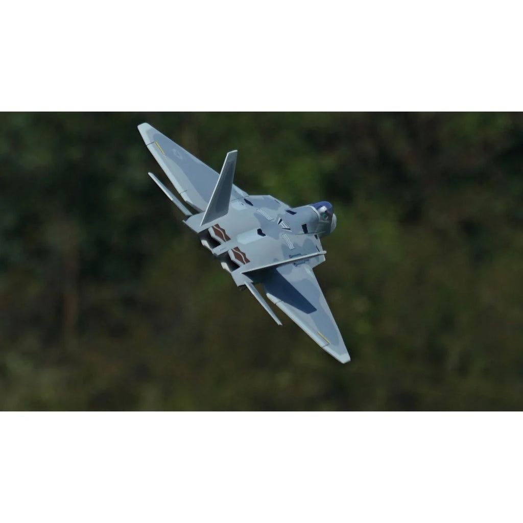 Amewi XFly F-22 Raptor Jet Twin 40mm EDF 24145 Flugzeug PNP – Draufsicht mit Triebwerken, über Waldgrund fotografiert
