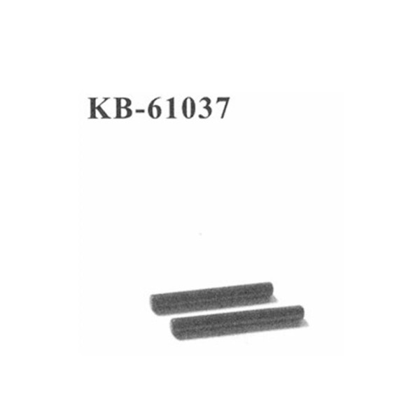 KB-61037 Hinge Pins Querlenker vorne außen